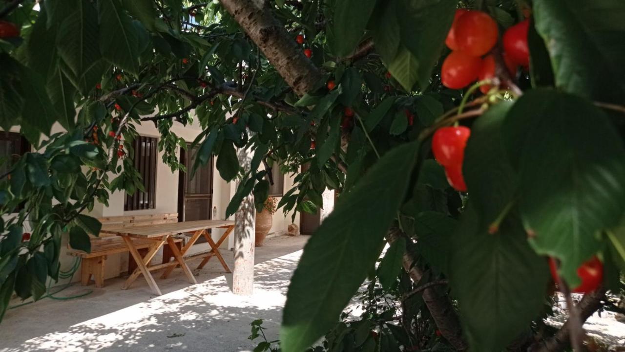 Villatzer - Traditional House With Fireplace And Garden Tzermiádon 外观 照片